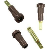 Jack socket Socket, vertical vertical Pin diameter: 2 mm Brown MultiContact EB2 1 pc(s)