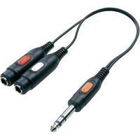 jack audiophono y adapter 1x jack plug 635 mm 2x jack socket 63 mm bla ...