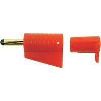 Jack plug Plug, straight Pin diameter: 4 mm Red Cliff FCR149855 1 pc(s)