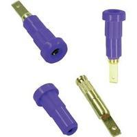 Jack socket Socket, vertical vertical Pin diameter: 2 mm Blue MultiContact EB2 1 pc(s)