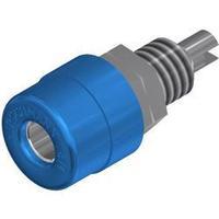 Jack socket Socket, vertical vertical Pin diameter: 4 mm Blue SKS Hirschmann BIL 20 BLAU 1 pc(s)