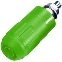 Jack socket Socket, vertical vertical Pin diameter: 4 mm Green MultiContact XUB-G 1 pc(s)