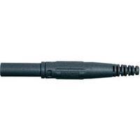 Jack plug Plug, straight Pin diameter: 4 mm Black MultiContact XL-410 1 pc(s)