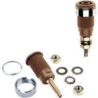 Jack socket Socket, vertical vertical Pin diameter: 4 mm Brown MultiContact SLB4-G 1 pc(s)