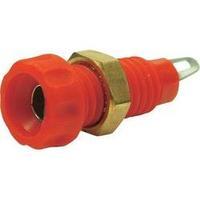 jack socket socket vertical vertical pin diameter 4 mm red cliff cl145 ...