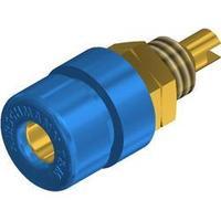 Jack socket Socket, vertical vertical Pin diameter: 4 mm Blue SKS Hirschmann BIL 30 Au, blue 1 pc(s)