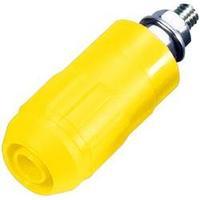 Jack socket Socket, vertical vertical Pin diameter: 4 mm Yellow MultiContact XUB-G 1 pc(s)