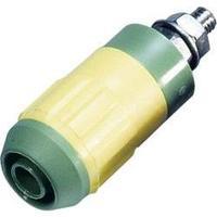 Jack socket Socket, vertical vertical Pin diameter: 4 mm Green-yellow MultiContact XUB-G 1 pc(s)