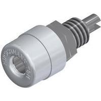 Jack socket Socket, vertical vertical Pin diameter: 4 mm White SKS Hirschmann BIL 20 WEISS 1 pc(s)