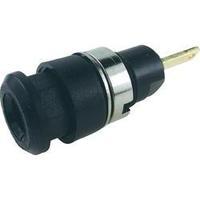 jack socket socket vertical vertical pin diameter 4 mm black cliff fcr ...