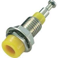 Jack socket Socket, vertical vertical Pin diameter: 2 mm Yellow SCI R1-17 1 pc(s)