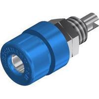 jack socket socket vertical vertical pin diameter 4 mm blue sks hirsch ...