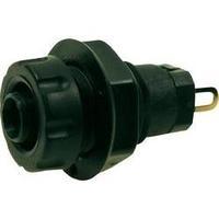 jack socket socket vertical vertical pin diameter 4 mm black cliff fcr ...