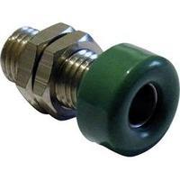 Jack socket Socket, vertical vertical Pin diameter: 4 mm Green Schnepp 1 pc(s)