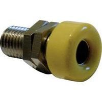 jack socket socket vertical vertical pin diameter 4 mm yellow schnepp  ...