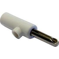 Jack plug Plug, straight Pin diameter: 4 mm White Schnepp 1 pc(s)