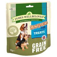 James Wellbeloved MiniJacks Dog Treats - Fish - Saver Pack: 3 x 90g