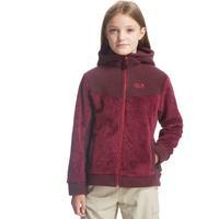 jack wolfskin girls little bear full zip hooded fleece purple