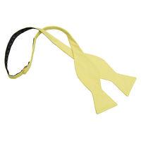JA Chambray Cotton Light Yellow Thistle Self Tie Bow Tie