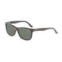 Jaguar Sunglasses 37156 Polarized 8940