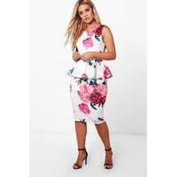 Jayne Rose Sleeveless Peplum Dress - multi