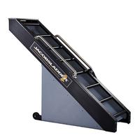 Jacobs Ladder 2 Cardio Ladder