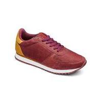 JCM Sports Suede Trainers Std Fit