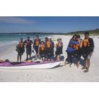 Jervis Bay Kayak Tour