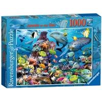 Jewels of The Sea 1000 Piece Jigsaw Puzzle