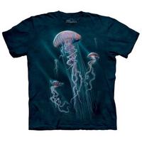 Jellyfish