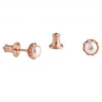 jersey pearl ladies emma kate rose gold plated freshwater pearl stud e ...