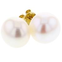 jersey pearl 9ct yellow gold 10mm white freshwater pearl stud earrings ...