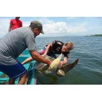 Jiquilisco Bay Biosphere Reserve Turtle Rodeo Capture Tour