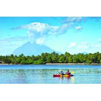 jiquilisco bay biosphere reserve and mangrove tour