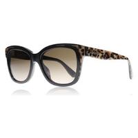 jimmy choo bebi sunglasses black brown puej6