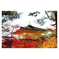 Jigsaw Puzzles Jigsaw Puzzle Bui...