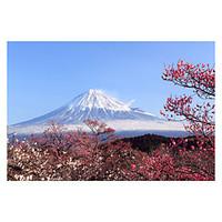 Jigsaw Puzzles Jigsaw Puzzle Bui...