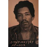 Jimi Hendrix I (Copper) By David Studwell