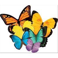 Jigsaw Shaped Puzzle 500 Pieces - Butterflies 252683
