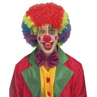 Jimmy Clown Multicolour Wig For Hair Accessory Fancy Dress