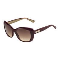 Jimmy Choo Sunglasses Kalia/S EMU/D8