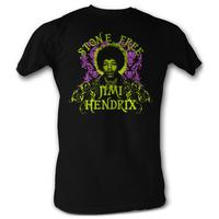 jimi hendrix stone free