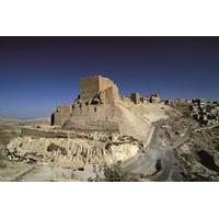 Jordan Castle Tour from Amman