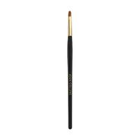 joan collins timeless beauty no 5 lip brush