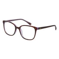 Joules Eyeglasses JO3022 LAUREN 185