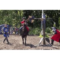 jousting experience