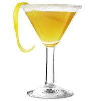 Jockey Club Martini Glasses 4.9oz / 140ml (Pack of 6)
