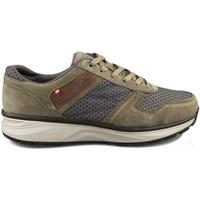 joya tony night mens shoes trainers in brown