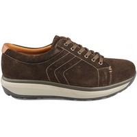 joya caesar mens shoes trainers in brown