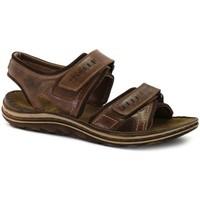 josef seibel raul 19 mens casual sandals mens sandals in brown